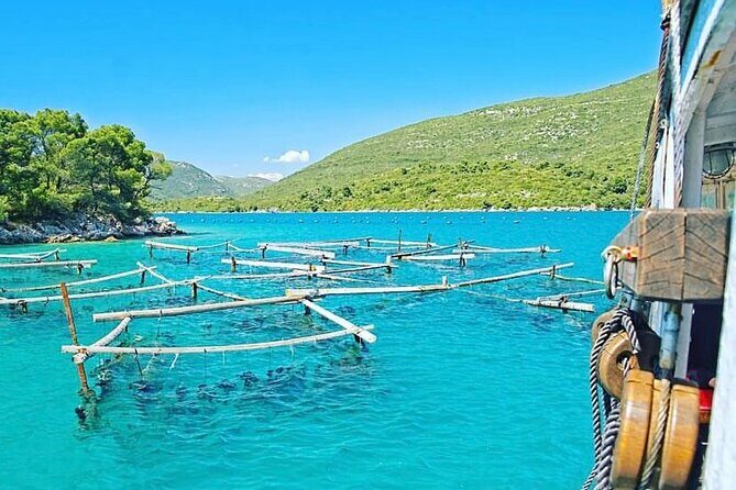 Oyster farm experience private day trip from Dubrovnik - Key Points