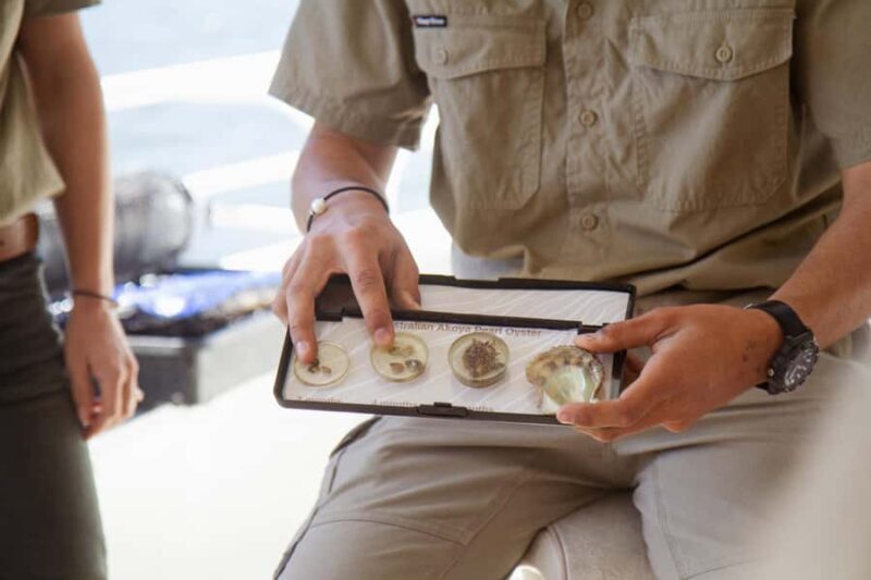 Oyster & Pearl Lovers Tour - Authentic Reviews: What Travelers Say