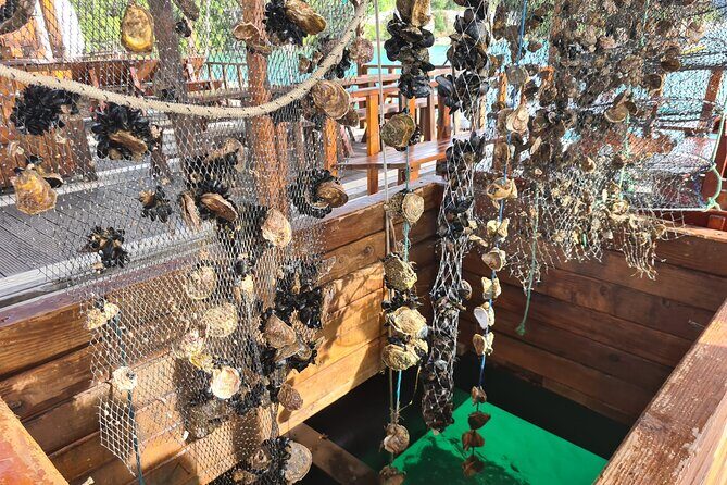 Oysters & Wine Tour From Dubrovnik (Small Group) - Authentic Croatian Flavors on the Oysters & Wine Tour from Dubrovnik