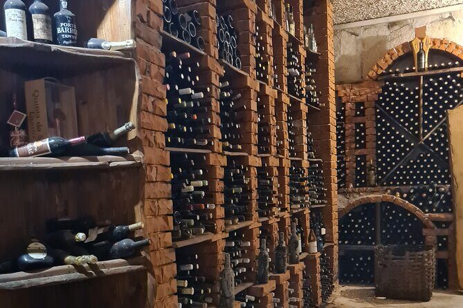 Oysters & Wine Tour From Dubrovnik (Small Group) - The Sum Up: Who Is This Tour Best For?