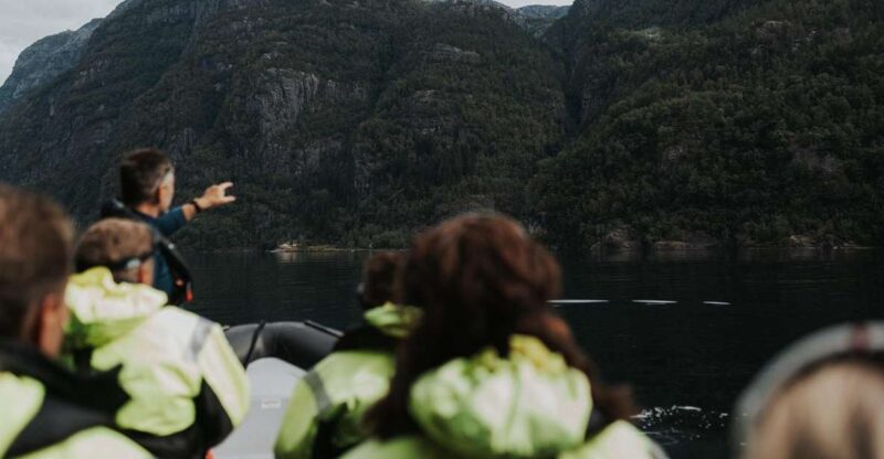 Øystese: Exclusive Fyksesund Private RIB Fjord Safari - Activity Overview