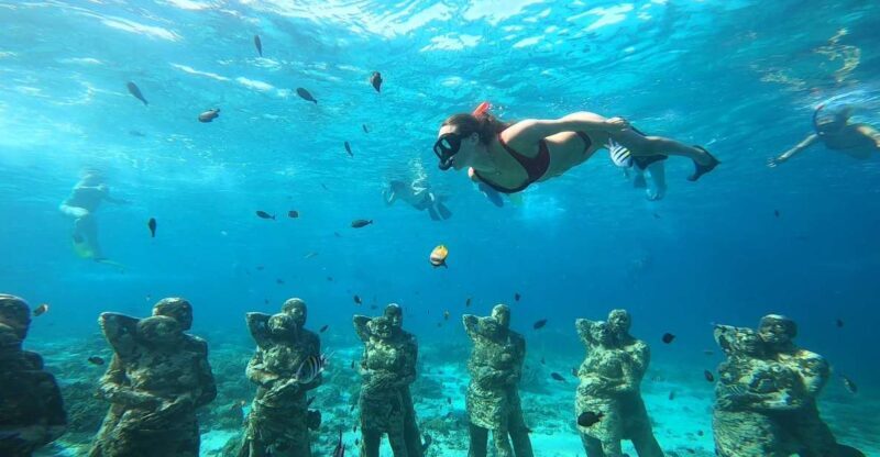 Ozzy Snorkeling 3 Islands Visit Baby Turtles - Key Points