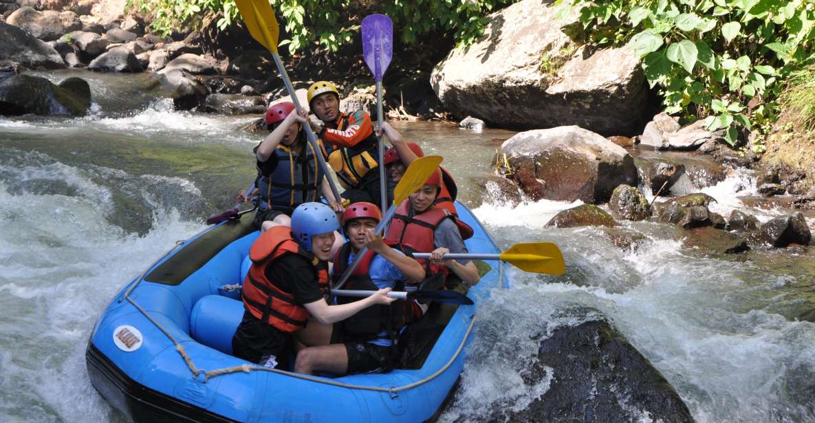 Pa Tong: Rainforest Day Trip With Cave, Rafting, ATV & Lunch - Turtle Farm and Waterfall