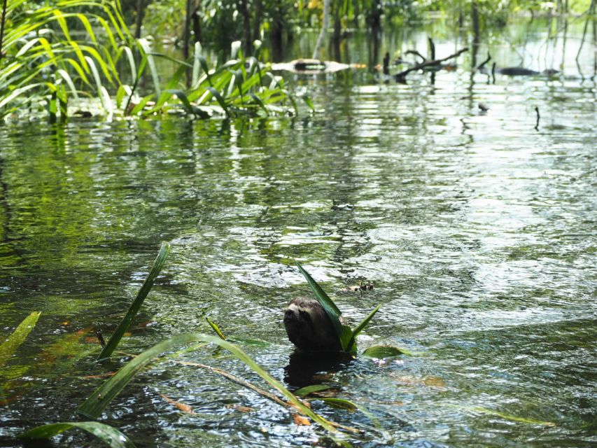 Pacaya-Samiria National Reserve: Multi Day Jungle Expedition - Taking in Natures Wonders