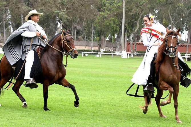 Pachacamac Pyramids, Lunch & Dance Horse Show!! Must See in Lima. - About Your Stay