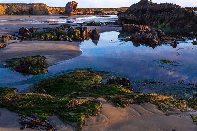 Pacific Coast Highway: Smartphone Audio Tour, LA to Santa Maria - Pricing and Guarantee Offered