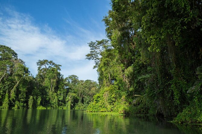 Package of 3 Excursions in Tortuguero - Good To Know