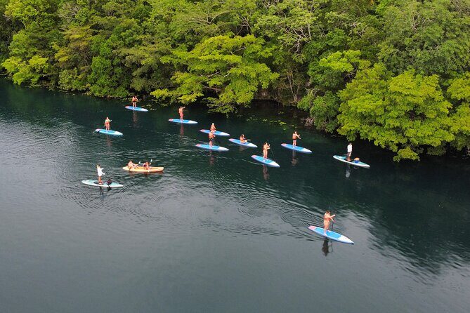 Paddle at Dawn with visit to Cenotes and Islands - Key Points