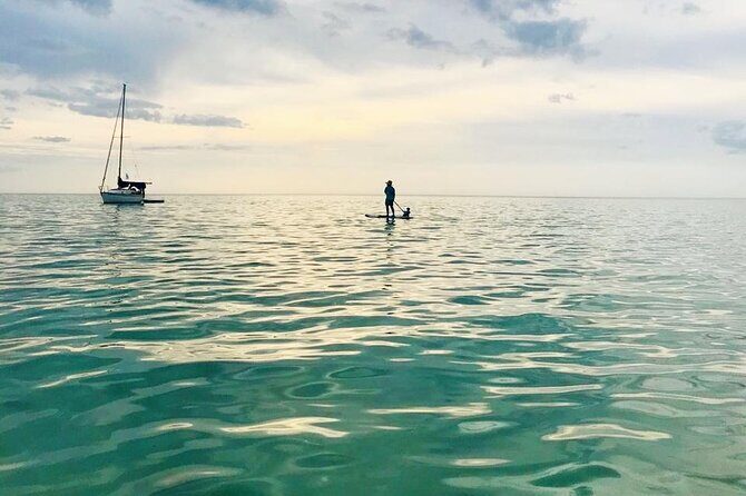 Paddle Board Classes in Holbox with Pick up - The Overall Value of the Experience