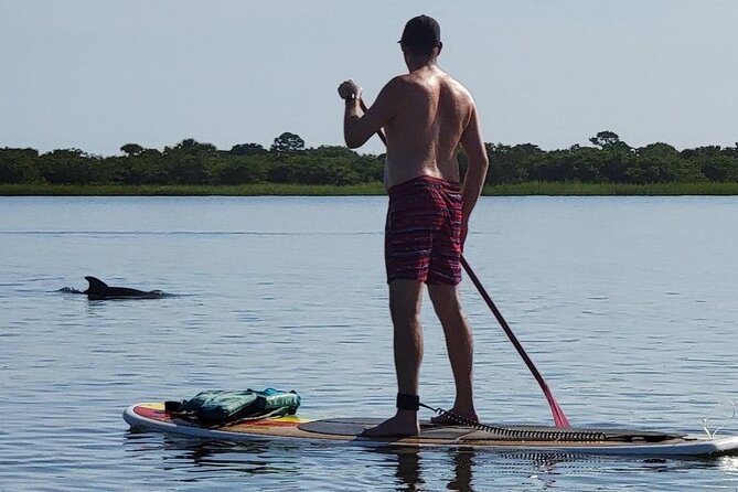Paddle Board Dolphin Tour - Good To Know