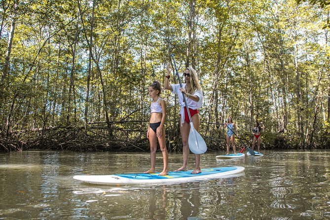 Paddle Board Mangrove Tour - Tour Experience and Activities