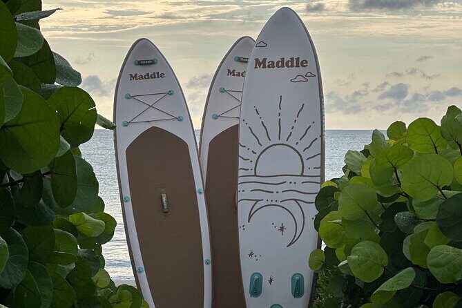Paddle Board Picnic Peanut Island Palm Beach Singer Island - A Detailed Look at the Paddle Board Picnic Experience