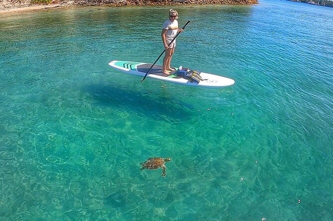Paddle Boarding Activity to Peanut Island Review - Location and Meeting Point