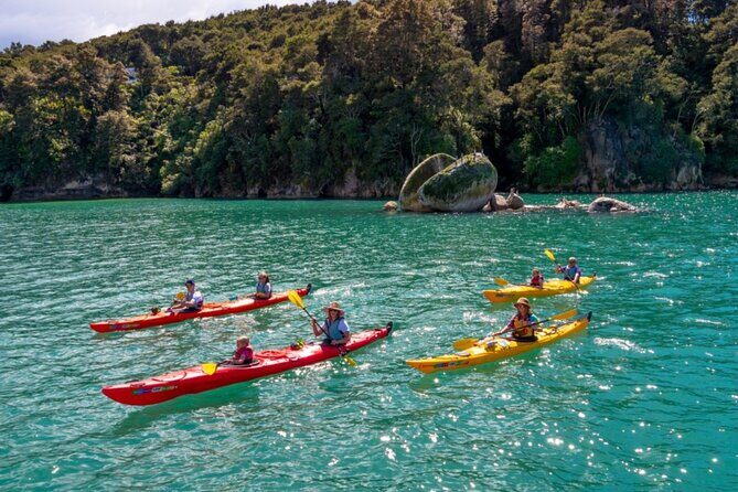 Paddle in Abel Tasman and Pedal the Great Taste Trail - Key Points