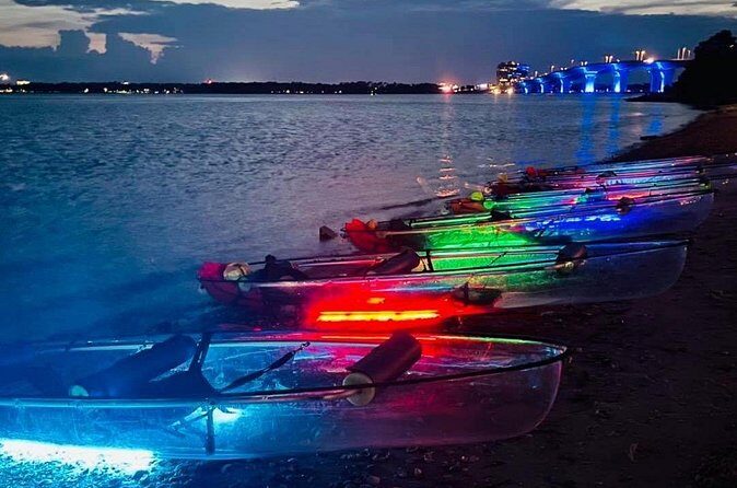 Paddle n Glow, night adventure in the bay of PCB, FL - Reviews and Authentic Feedback