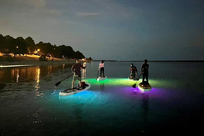 Paddle Out at Dusk for Glow Night Cruise in Gordon Bay - A Closer Look at the Experience
