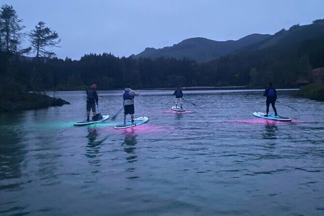 Paddle Out at Dusk for Glow Night Cruise in Gordon Bay - The Experience in Context