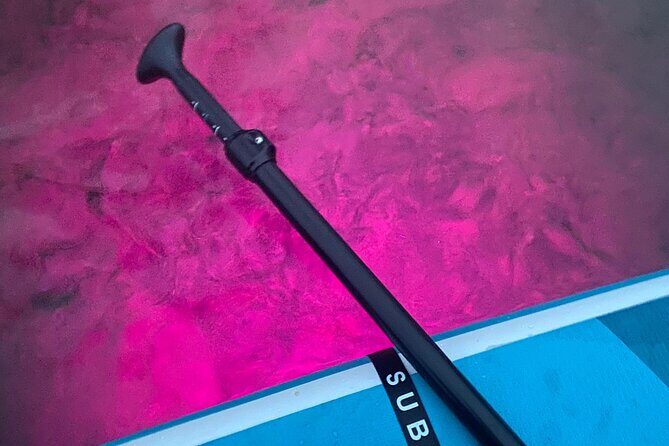 Paddle Out at Dusk for Glow Night Cruise in Gordon Bay - Who Will Love This Tour?