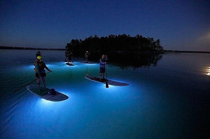 Paddle Out at Dusk for Glow Night Cruise in Gordon Bay - The Sum Up: Why This Tour Is Worth Considering