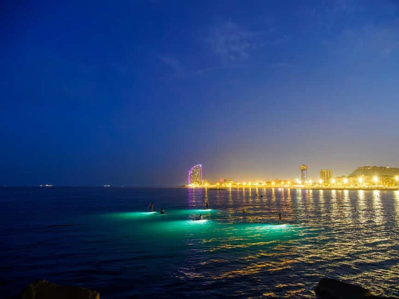 Paddle surf at night with light & drink -photos &videos - Key Points