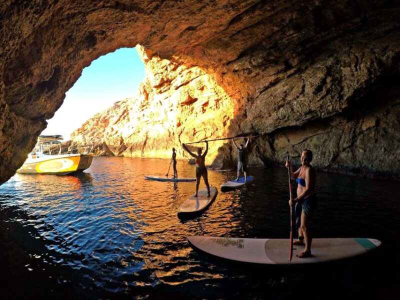 Paddle Surf Course - Equipment and Instructors