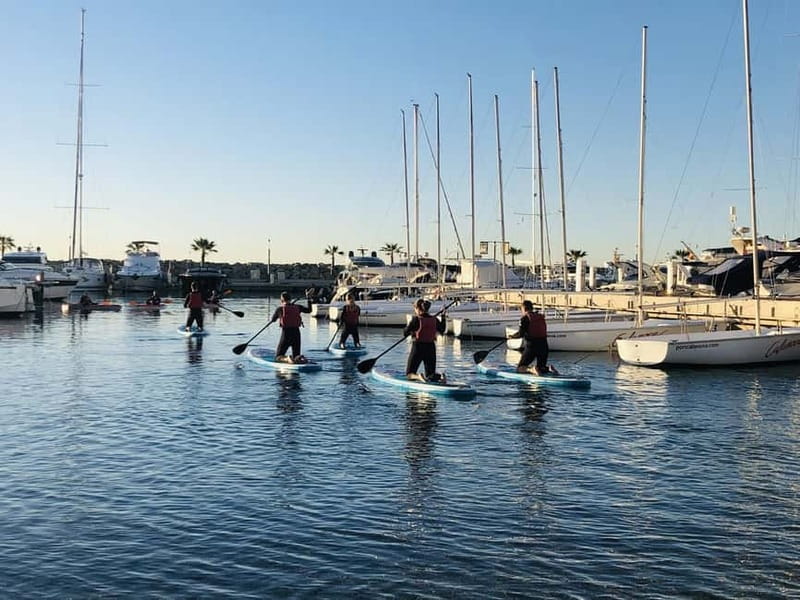 Paddle surf excursion - Final Thoughts: Who Should Book This?