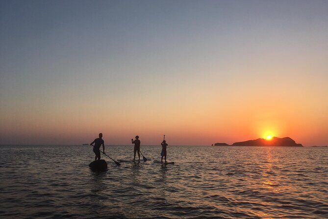 Paddle Surf with Sunset in Ibiza - Practical Details & What to Expect