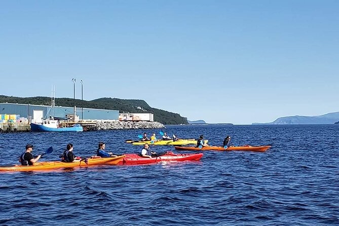 Paddle the Bay of Islands: 2 Hours Guided Kayak Experience - Tour Capacity