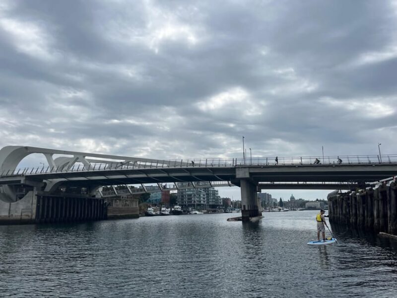 Paddle the heart of downtown Victoria - Final Thoughts