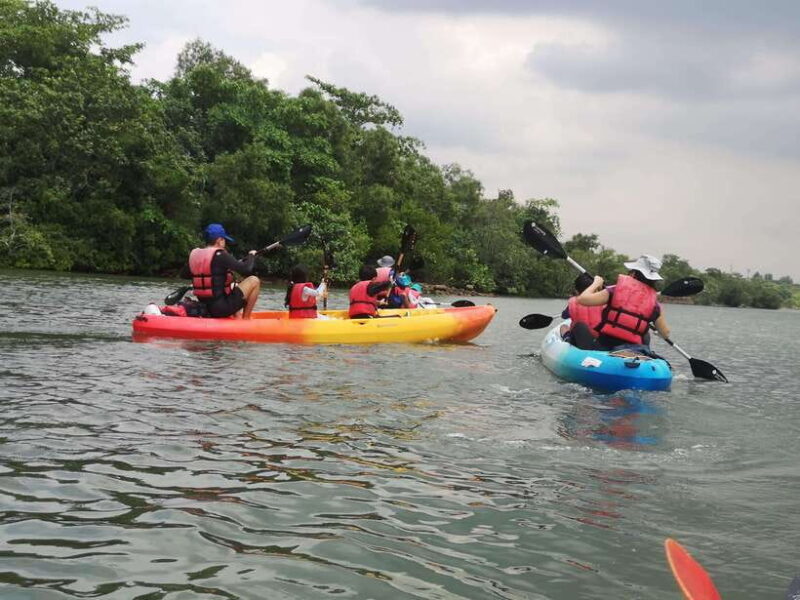 Paddle to Pedal Adventure - An In-Depth Look at the Paddle to Pedal Adventure