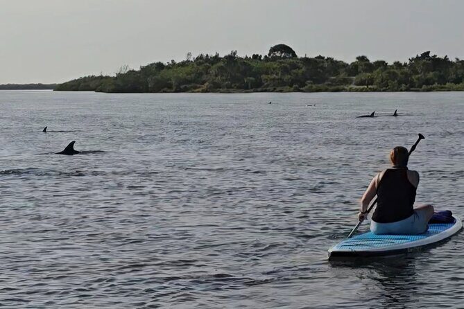 Paddle With Native Wildlife - Is It Worth the Price?