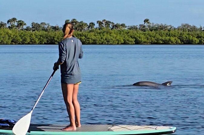 Paddle With Native Wildlife - The Bottom Line
