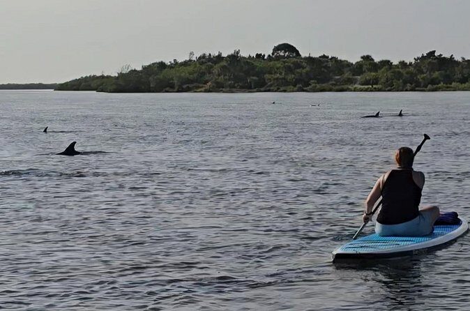 Paddle With Native Wildlife - FAQs