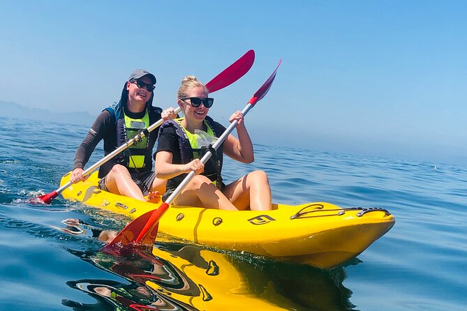 Paddle With the Penguins - Equipment Provided for Participants