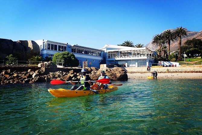 Paddle With the Penguins - Safety Measures and Guidelines