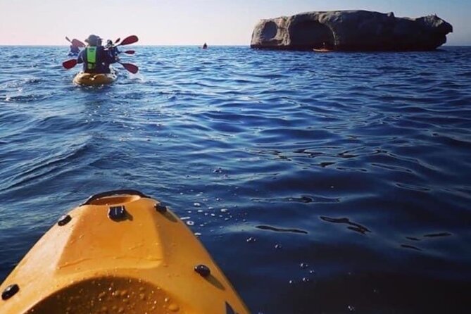 Paddle With the Penguins - Amenities for a Comfortable Experience
