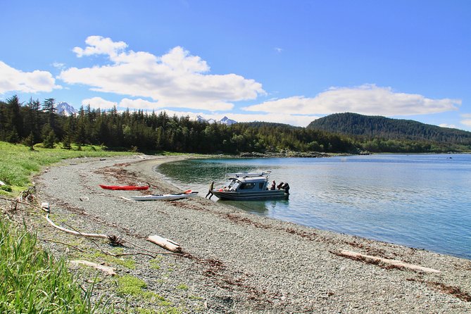 Paddle With Whales! Kayak Adventure - Tour Inclusions