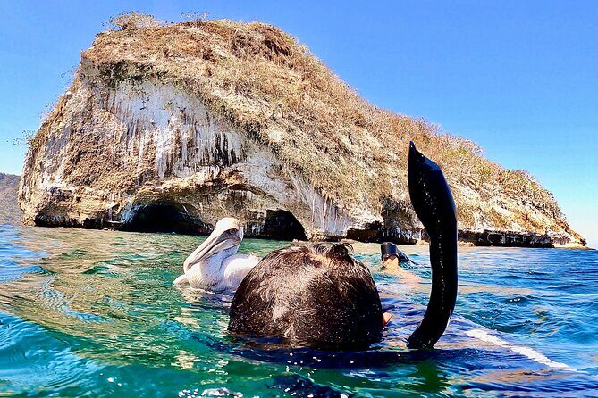 Paddleboard and Snorkeling Experience in Los Arcos - What Could Be Better?