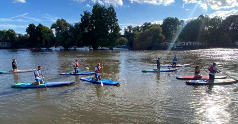 Paddleboard Experience on the Beautiful Thames at Teddington - Paddleboard Safety and Training