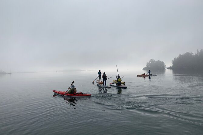 Paddling Esquimalt Harbor to Cole Island - Final Thoughts: Who Should Consider This Tour?