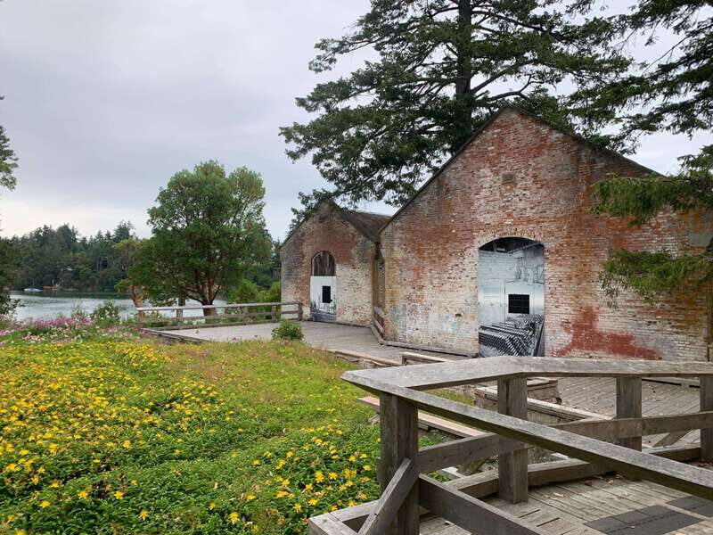 Paddling tour to the Historical Cole Island - Victoria BC - An In-Depth Look at the Paddling Tour to Cole Island