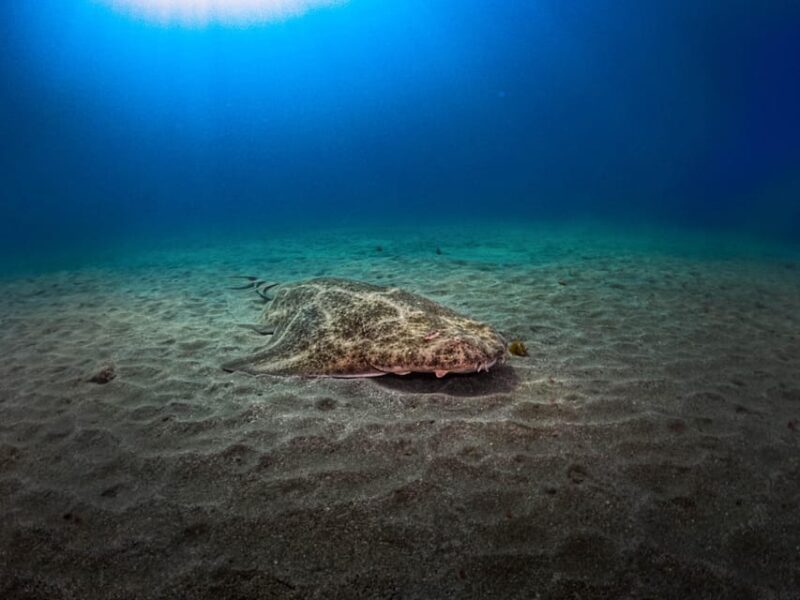 PADI ADVANCED OPEN WATER DIVER - About the PADI AOWD Certification