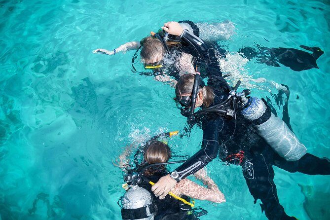 PADI Discover Scuba Dive at 5 Star Dive Center Blue Bay Dive, Curacao - Key Points