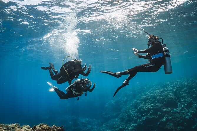 PADI Discover Scuba Diving - An In-Depth Look at the Experience