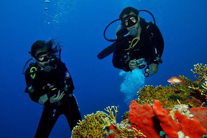 PADI Discover Scuba Diving Course in Bayahibe - Meeting and Pickup Details