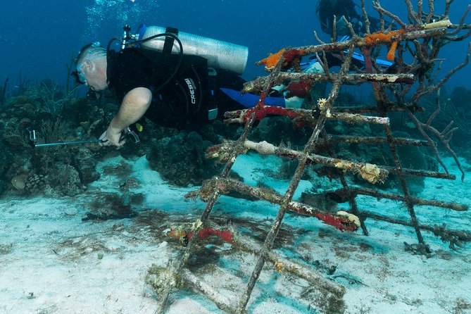 PADI Discover Scuba Diving Course in Bayahibe - Recommended Items to Bring