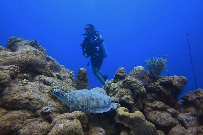 PADI Open Water Course in 3 days - The Learning Experience: From Theory to Practice