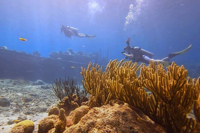 PADI Open Water Course in 3 days - Why This Course Works