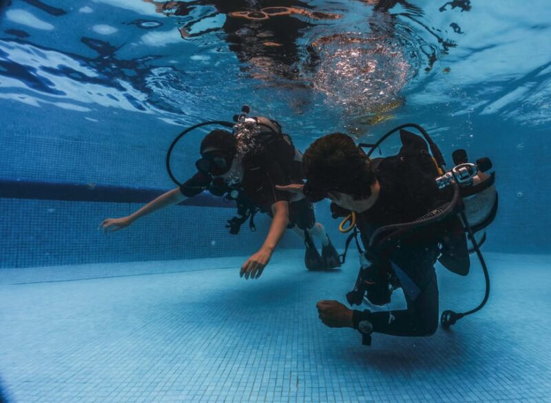 PADI Open Water Course(5 Dives.3days) - Important Information