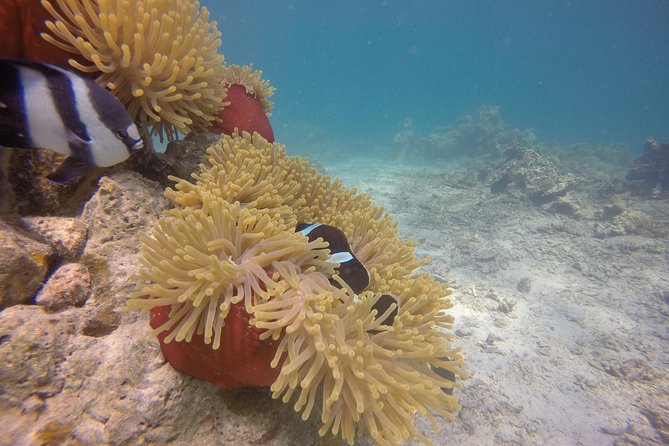 Padi Open Water Diver Course - Preparing for the Course